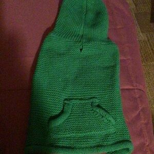 Green Dog Toy Interactive Chew